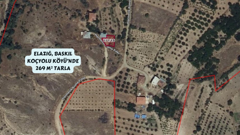 ELAZIĞ BASKİL KOÇYOLU KÖYÜNDE 269M² TARLAMIZ SATILIKTIR. - ELAZIĞ BASKİL fotoğraf 5